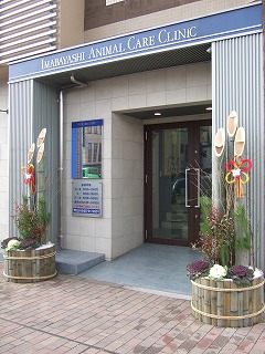 謹賀新年☆_b0059154_14243357.jpg