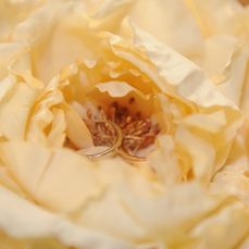 a0114655_9212070.png