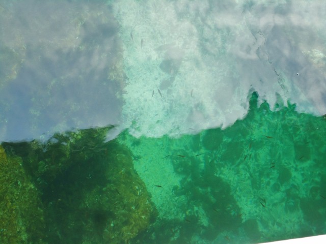 d0172957_2112440.jpg