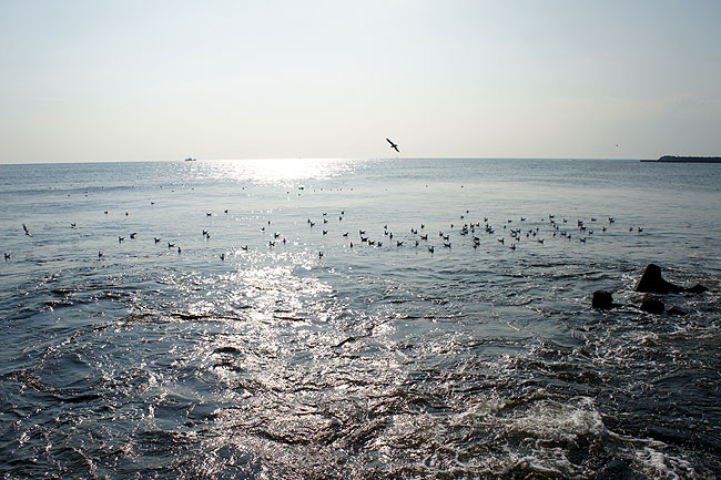 b0152660_14395530.jpg