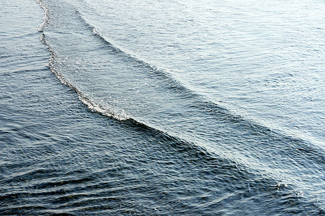 b0152660_1442856.jpg