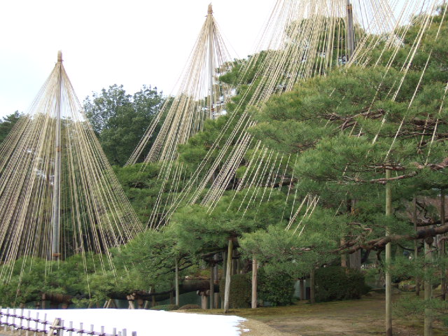 c0229062_189355.jpg