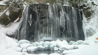 b0063468_202112.jpg