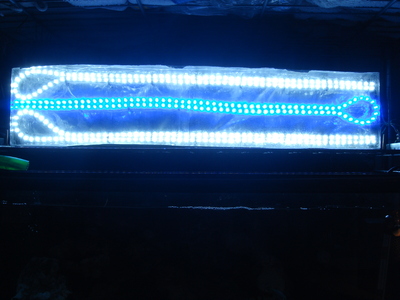 b0022570_22254746.jpg