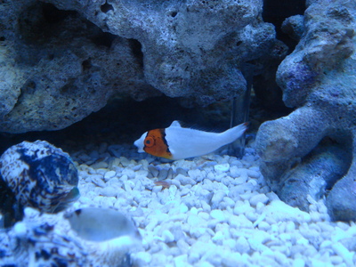 b0022570_22295725.jpg