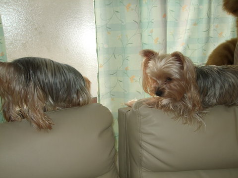 e0120072_14562569.jpg