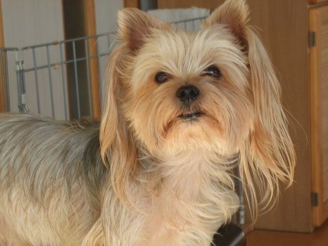 e0120072_14582675.jpg
