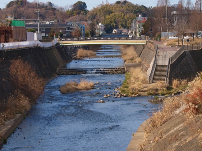 鶴見川　　水鳥たち_a0085679_20133855.jpg