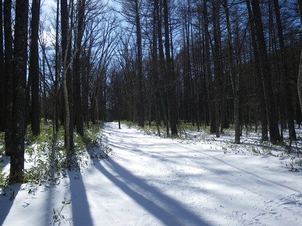 b0125180_22163428.jpg