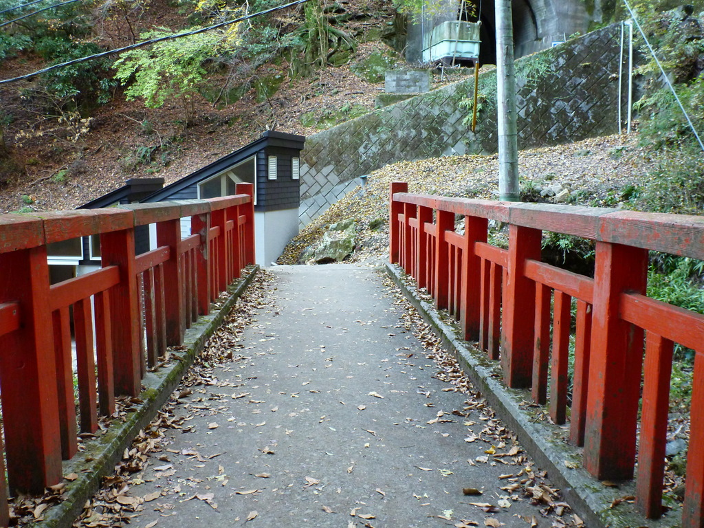 大山・・雨降木に会いに行く♪・・最終章～女坂と大山寺_e0195587_2192682.jpg