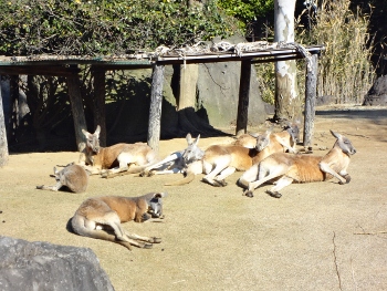 e0137390_2015195.jpg