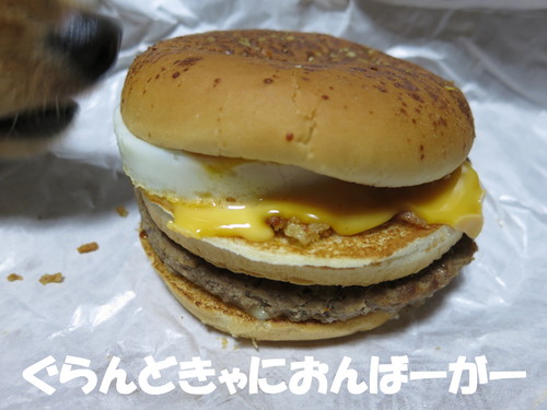 グランドキャニオンバーガー　感想 ブログ_b0200291_17553257.jpg