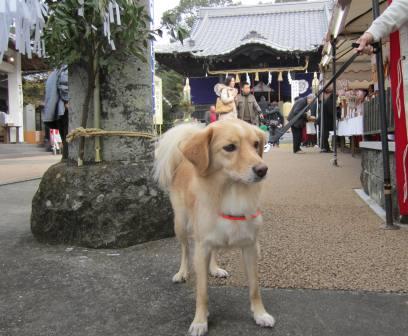 今年も長崎でお正月♪_c0196992_15531741.jpg