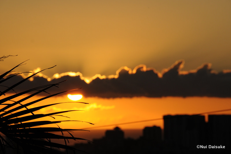 Hawaiian Winter Sunset_d0032693_1743949.jpg