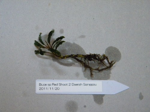 f0138093_17422143.jpg