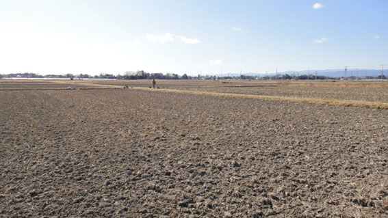 c0094999_18224649.jpg