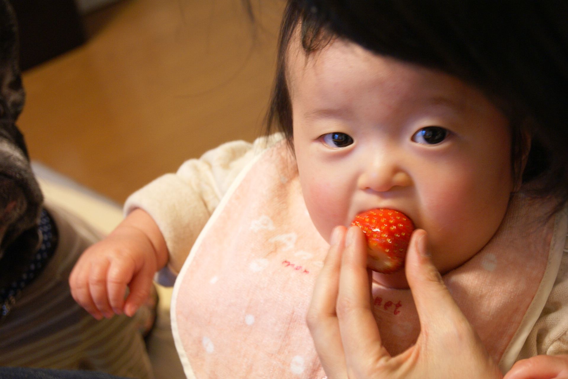d0164100_1561177.jpg