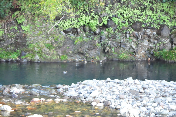 d0174400_1531552.jpg