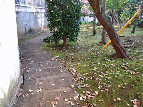 c0163001_033660.jpg
