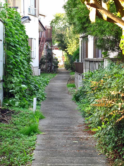 c0163001_041095.jpg