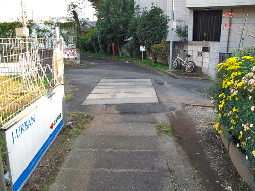 c0163001_071245.jpg