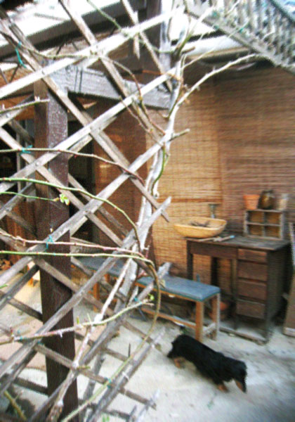 d0077603_914111.jpg