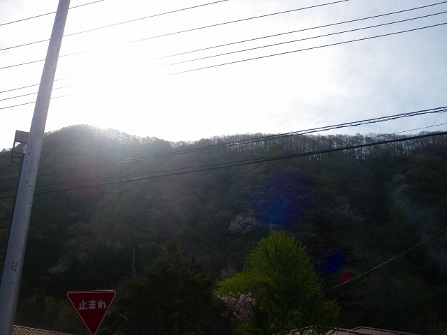 a0243317_1229271.jpg