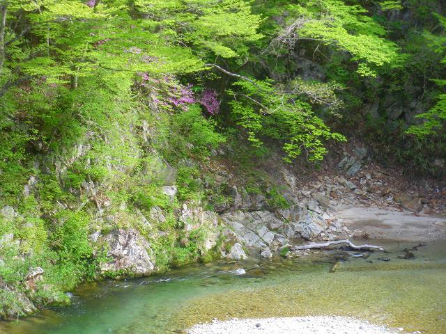 a0243317_135164.jpg