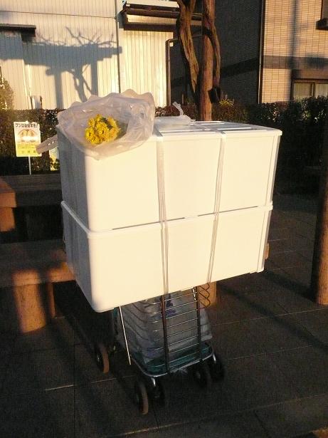 陽だまりの会の新年会_a0050728_22503980.jpg