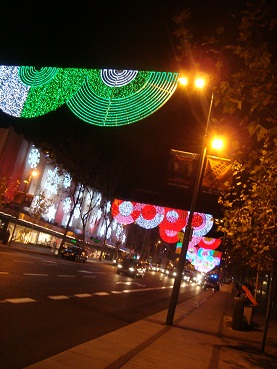 e0120938_3432962.jpg