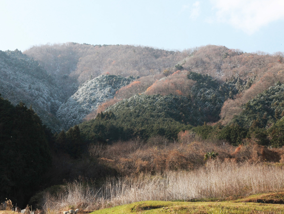 葛城市　山口　雪化粧_c0108146_20542844.jpg