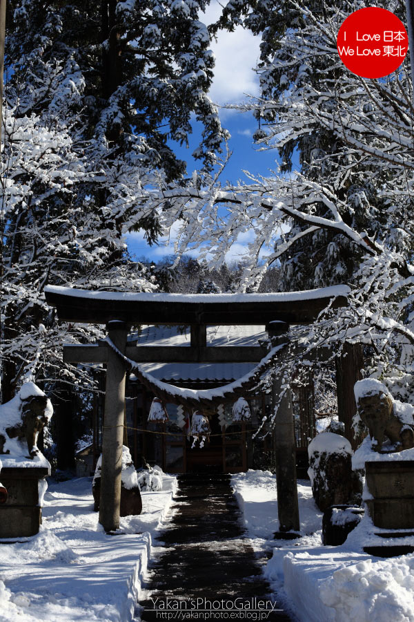 地元神社の年頭祭で、厄払いをしてもらいました。_b0157849_1012447.jpg
