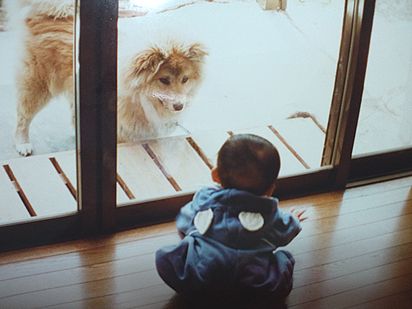 実家の犬が逝った_a0096557_2140665.jpg