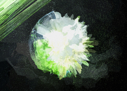 d0178257_5483017.jpg