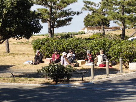 臨時活動:「とんど&焼き芋準備」_c0108460_0311589.jpg
