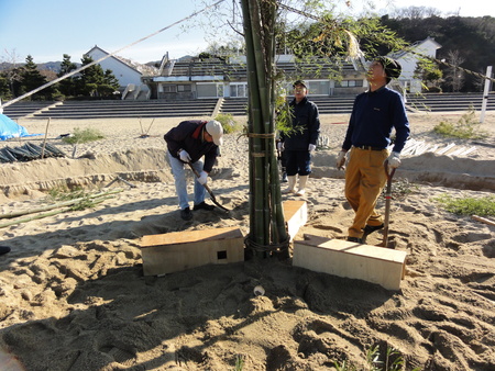 臨時活動:「とんど&焼き芋準備」_c0108460_033295.jpg