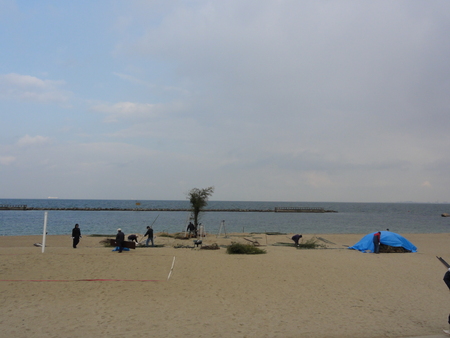 臨時活動:とんど組立_c0108460_1772893.jpg