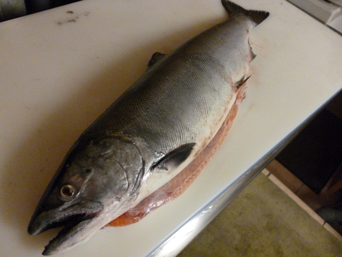 美味しいお魚です。_e0252966_15362286.jpg