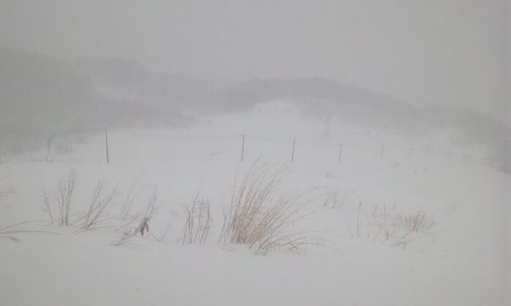 b0164568_8185691.jpg
