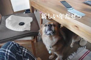 f0238772_23372763.jpg