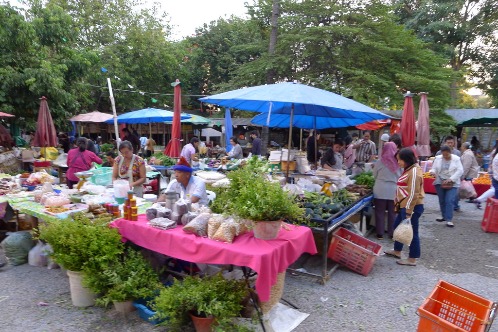 f0178278_17787.jpg