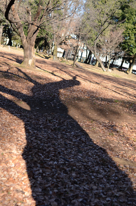 おだやかな島_b0194880_12403686.jpg