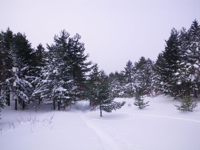 山スキーで吾妻山・五色沼へ ～ ２０１２年１月９日_f0170180_5335553.jpg