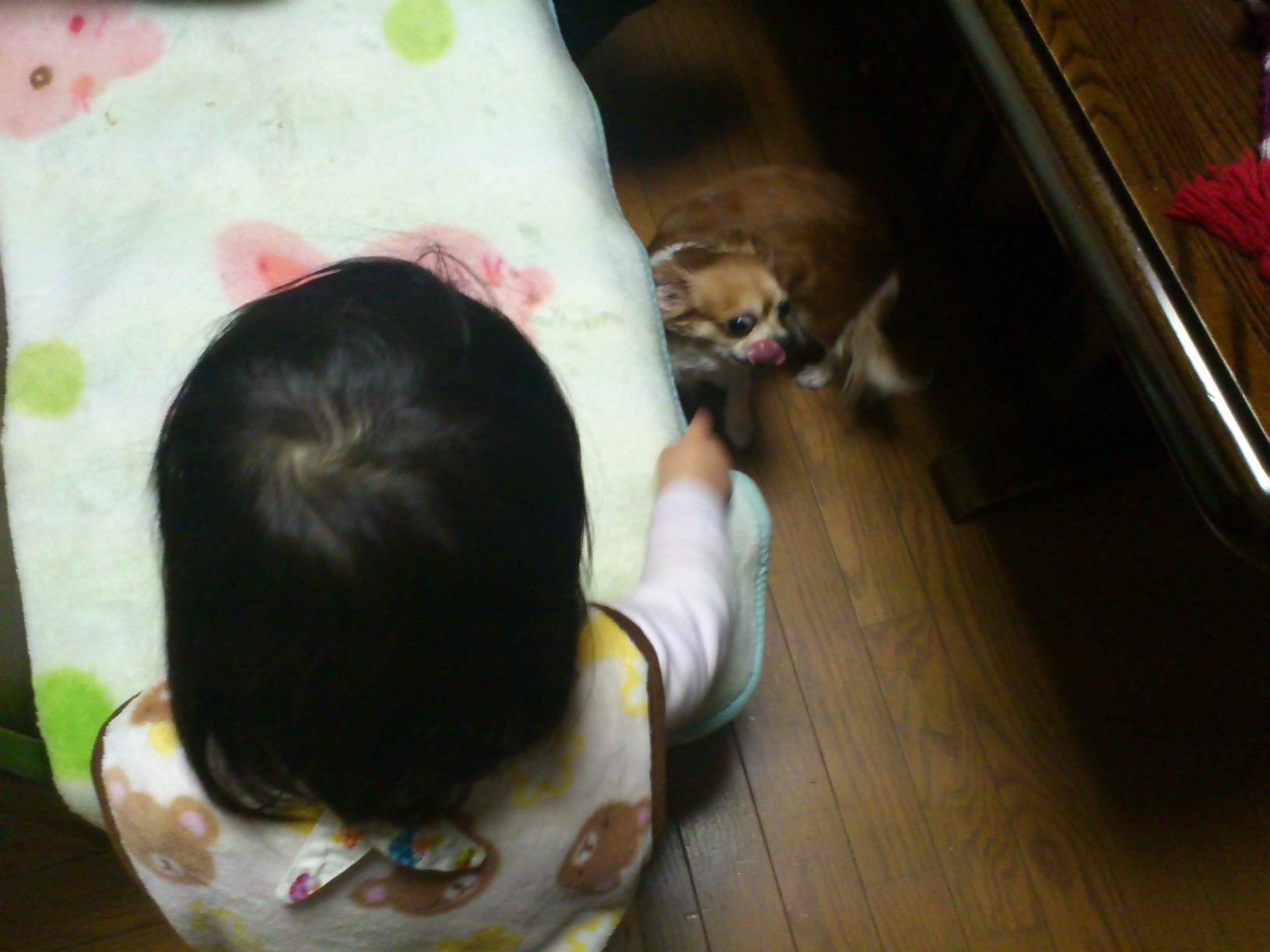 c0095091_2214774.jpg