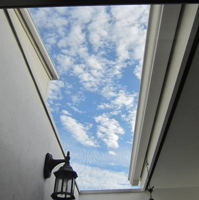オリーブ　と　空_d0249193_1324286.jpg