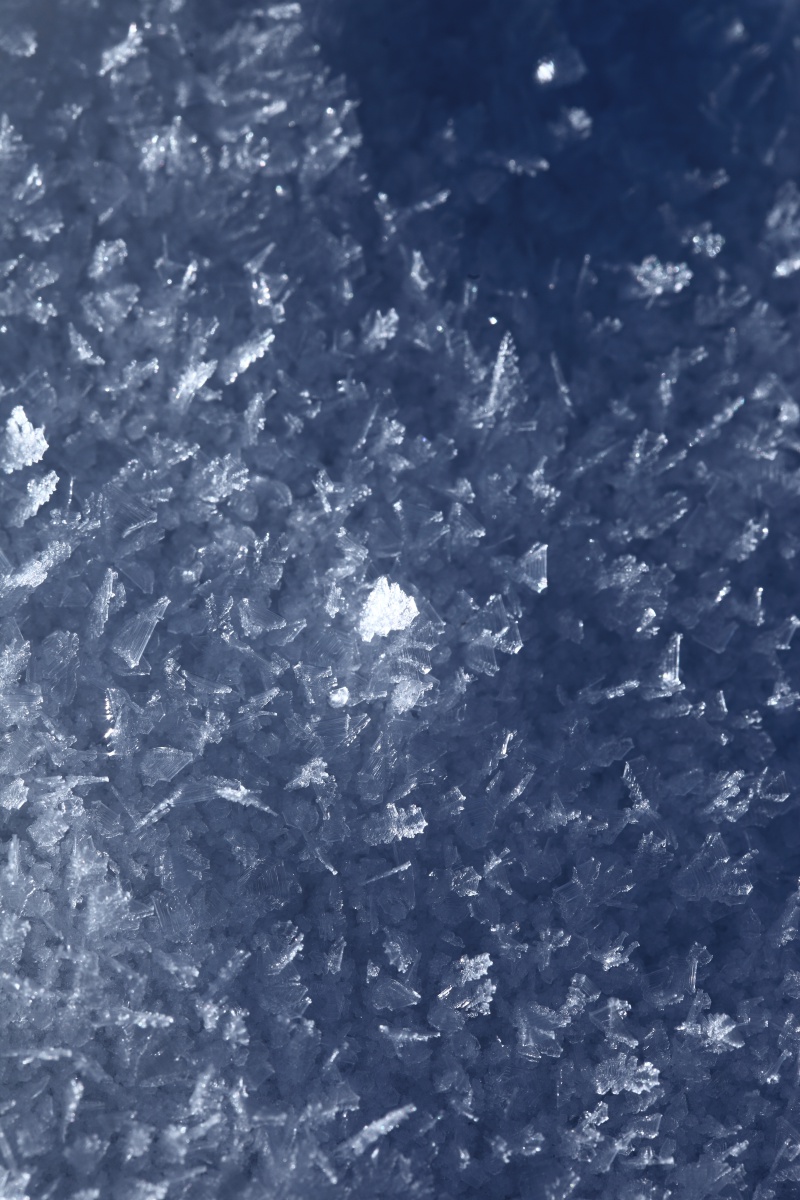 a0155104_23414325.jpg
