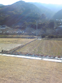 a0160509_163162.jpg