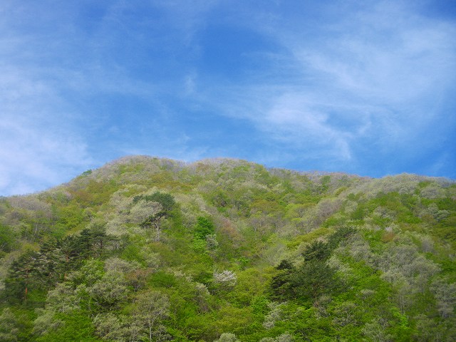 a0243317_13302016.jpg