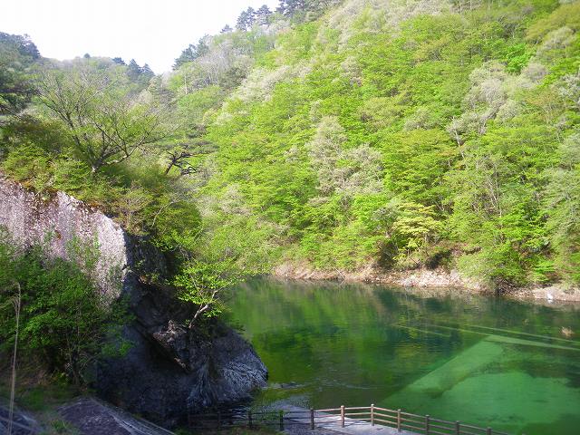 a0243317_13304470.jpg