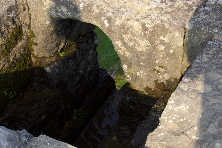 e0132718_16145542.jpg